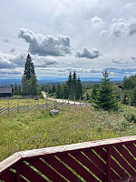 torile_20240706_668932f6b26a4.jpg