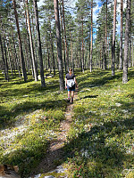 torile_20240811_66b9077c2d3fd.jpg