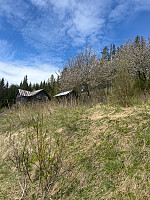 torile_20250508_681ca2a914c9e.jpg