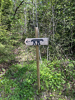 torile_20250515_6825ff3840705.jpg