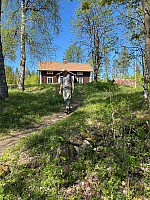 torile_20250518_6829eaabb5b00.jpg