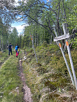 torile_20250529_6838b94a47399.jpg