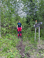 torile_20250529_6838b94c7c5d9.jpg