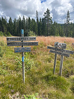 torile_20250803_688f55a6f03b0.jpg