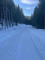 LA9PJA_20220319_6235fe0f16946.jpg