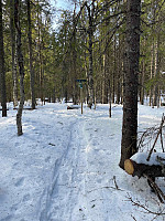LA9PJA_20220319_6235fe1323770.jpg