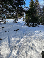 LA9PJA_20220319_6235fe1453366.jpg
