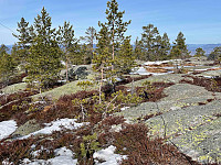 LA9PJA_20220328_6241fe7a1b073.jpg