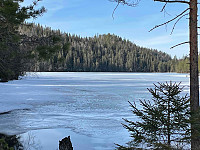 LA9PJA_20220328_6241fe80bf144.jpg