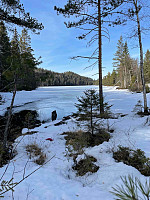 LA9PJA_20220328_6241fe821ad0c.jpg