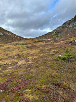 LA9PJA_20241005_670147f0c0e01.jpg