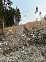 LA9PJA_20241112_673307b18dd72.jpg