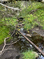 LA9PJA_20250814_689ddec0e6c0a.jpg
