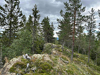 LA9PJA_20250819_68a45db51e561.jpg