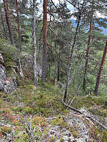 LA9PJA_20250819_68a45db78cdca.jpg