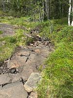 LA9PJA_20250819_68a45dbace6c3.jpg