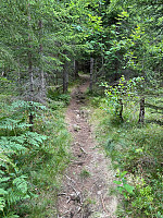 LA9PJA_20250820_68a644d7edd11.jpg