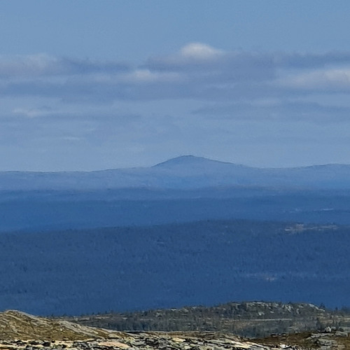 Østover mot Nyhaugen i Nekkjådalen