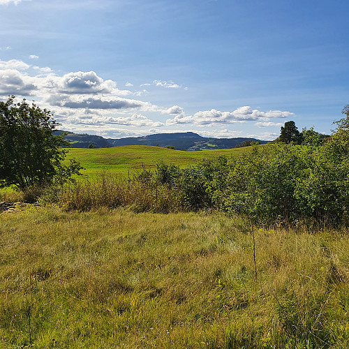 Fra skogkanten opp mot Kvernberget og over mot Våttån.