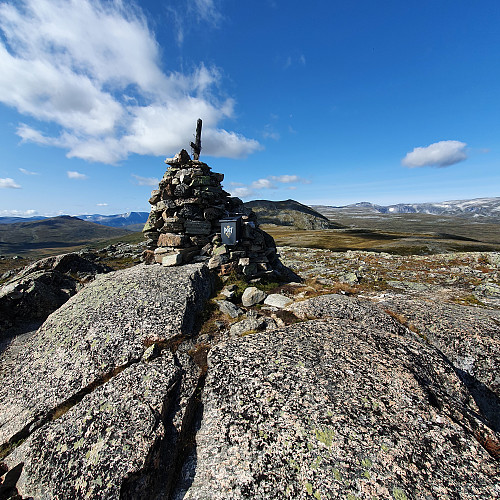 Toppvarden med Høghøa bak.