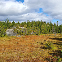 Gabrielsen68_20210906_6135b97ae31a2.jpg