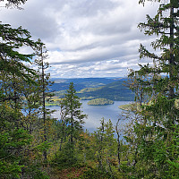 Gabrielsen68_20210906_6135b97cdb0b0.jpg