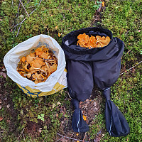Gabrielsen68_20210906_6135b97eb2264.jpg