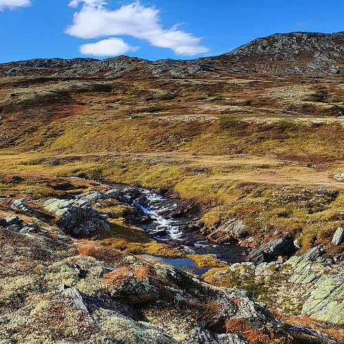 Nekkjåa og Storskarven