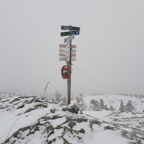 Trugetur og forberedelse til mer julemat.