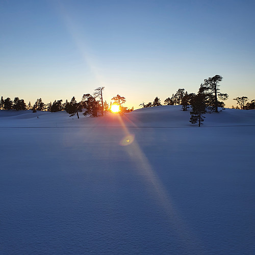 Solnedgang fra Tomåsen mot Elgshøgda.