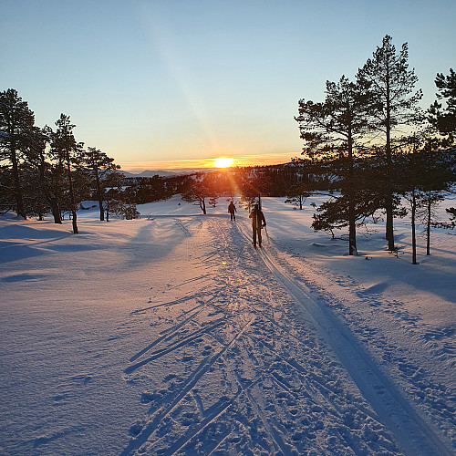 Fine forhold i solnedgangen. Mellom Tomåsen og Elgshøgda