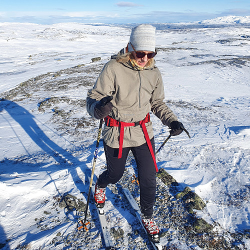 Godt feste på toppen av Grønlifjellet.
