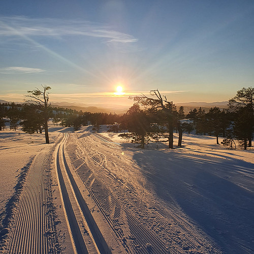 Trikkeskinner inn i solnedgangen. Drømmeforhold.