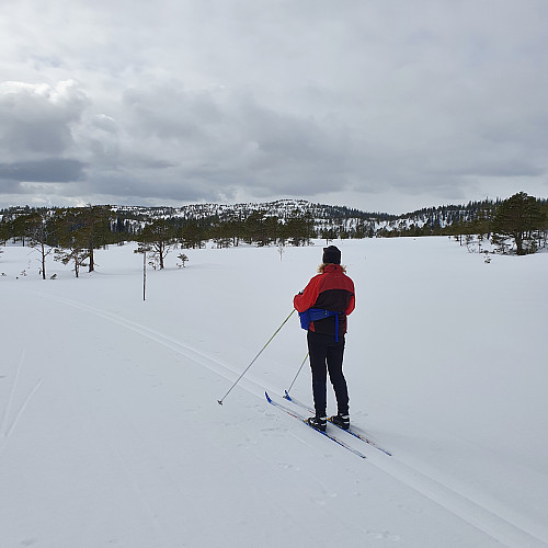 Fra Tomåsen mot Elgshøgda.
