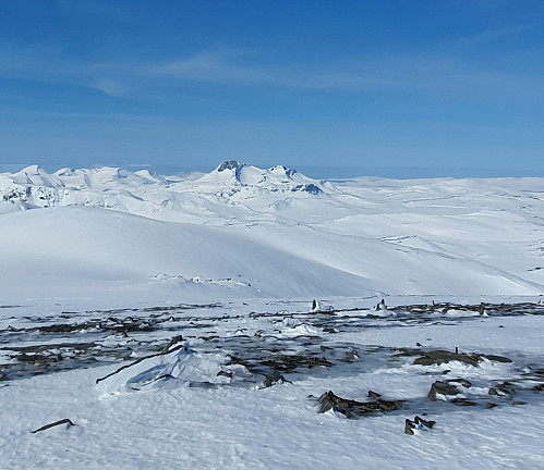 Snota