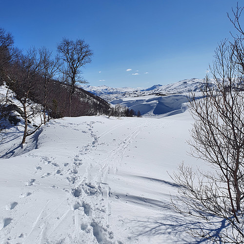 Utsikt mot Skaret fra Skrikdalen.