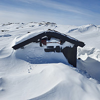 Gabrielsen68_20220419_625e704936829.jpg