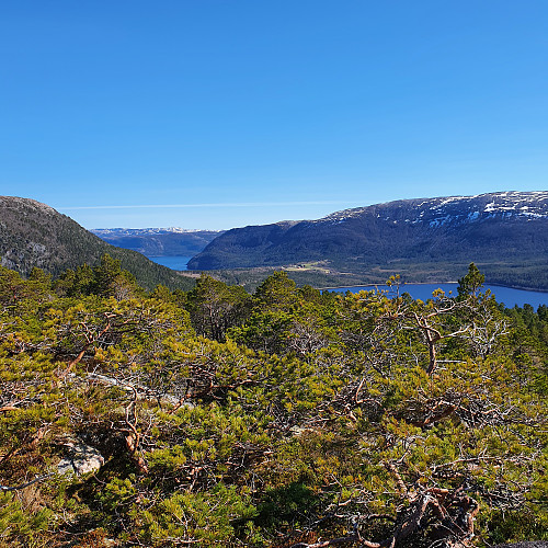 Stokkafjellet i Tannvikvågen i bakgrunn, og Heimsfjellet til venstre.