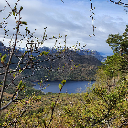 Utsikt mot Granholtjønna og Høgloftet fra oppstigninga.