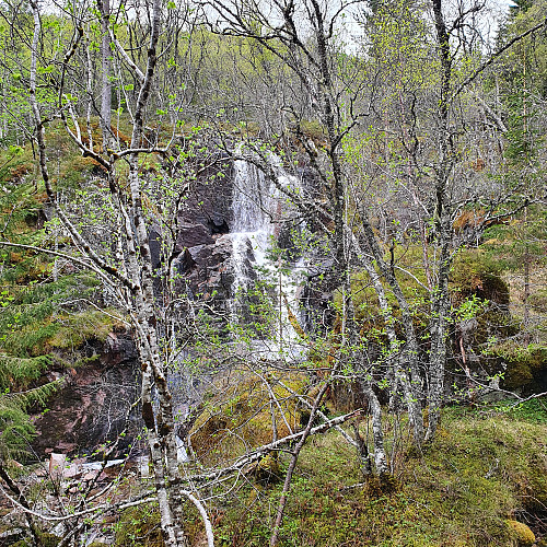Fint fossefall i tett skog. På tur opp fra Håkavika.