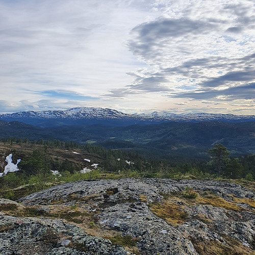 Fin løpetur i god temperatur. Fortsatt litt snø igjen, men levelig. Resfjellet og Trollheimen i bakgrunn.