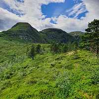 Gabrielsen68_20220704_62c2956988dbe.jpg