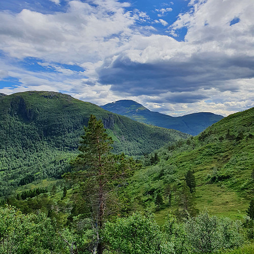 Hjelmen