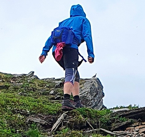 2 fjellryper.