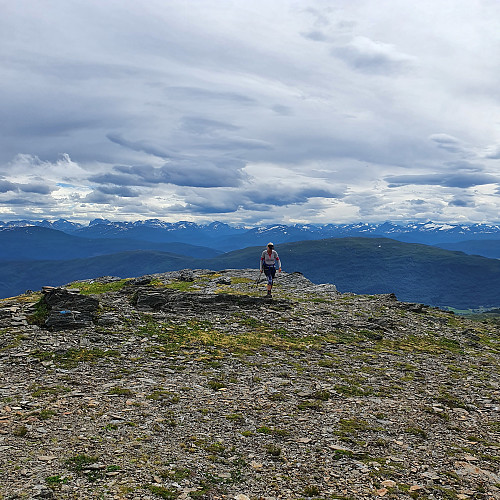 Panorama mot Trollheimen