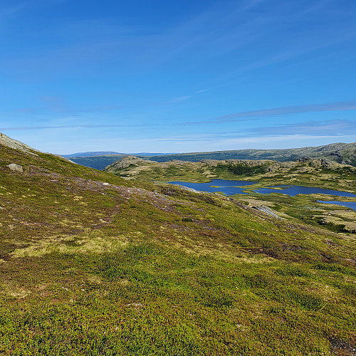 Sømmulkneppen og Vedtjønnen
