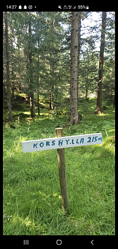 Korshylla. Skiltet er plassert midt i granskogen ca. 100 m nord for toppen. Overhodet ikke utsikt i noen retning.
Tett granskog i hele området.