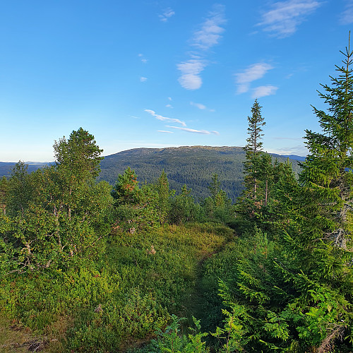 Grefstadfjellet