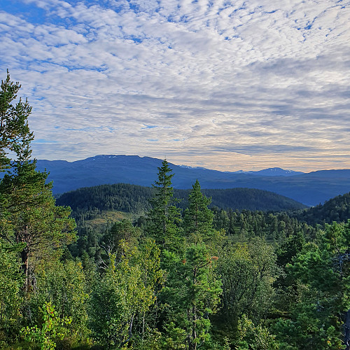 Resfjellet