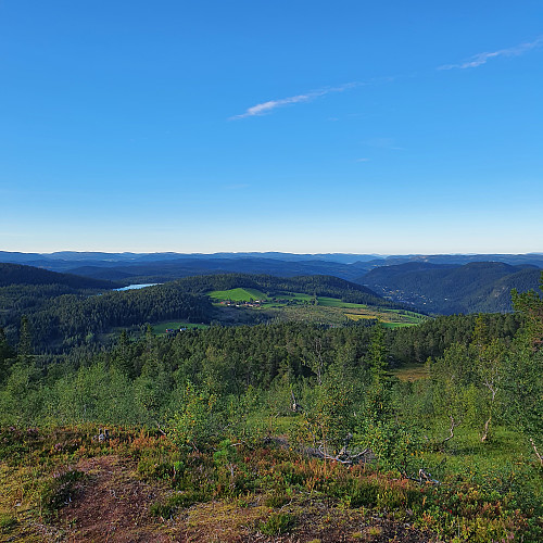 Utsikt mot nord.